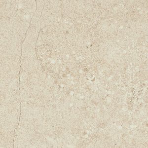 JTT Utopia Glaze Vitrified Wall Tile Mollusca 850x280x10mm